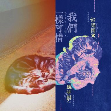 矮冷勇敢睡覺用