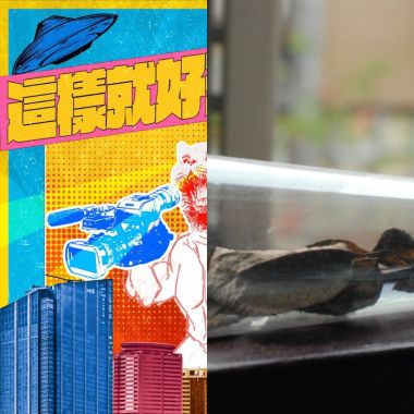 老王❤️