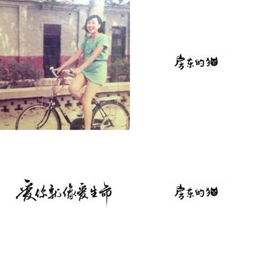 房東的貓