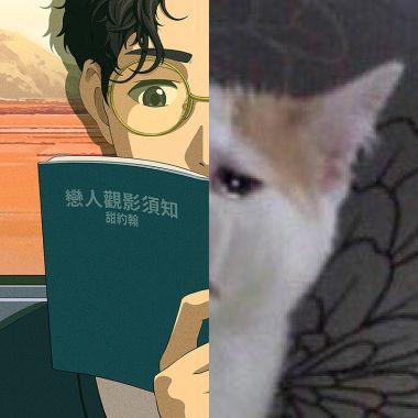 聽聽看