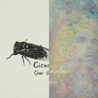 Cicada