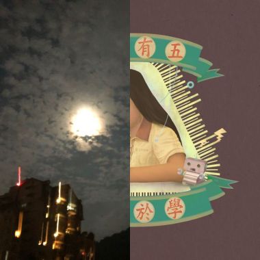 收藏