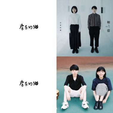 貓