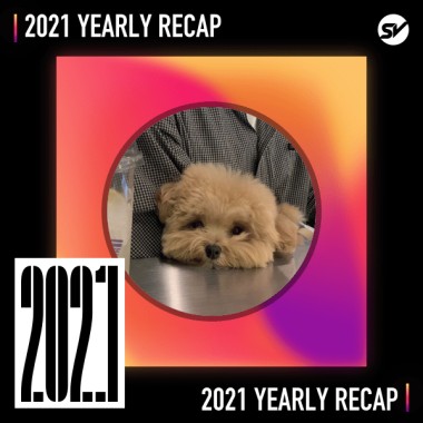 2021 個人年度精選之最