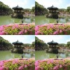 新歌