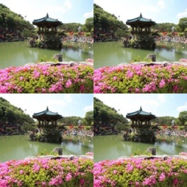 新歌
