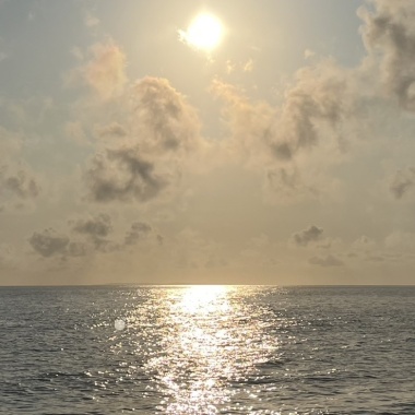 🌅