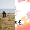 溫暖的聲音