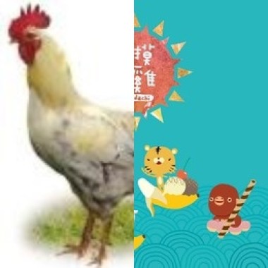 可愛的歌