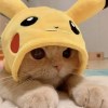 yu ·͜·♡的歌單