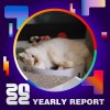 2022 個人年度精選