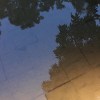 最近愛