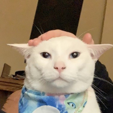 ?