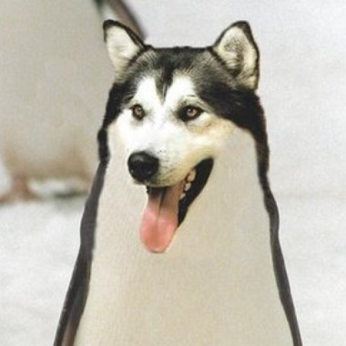 ?