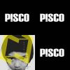P!SCO