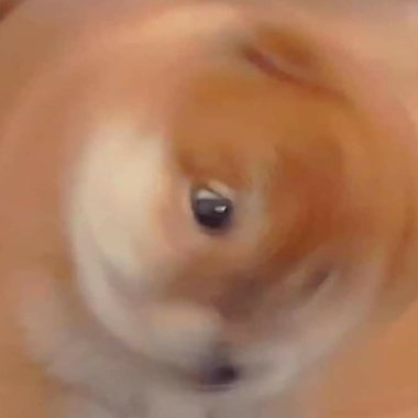 偶ㄉ歌單ヾ(｡>﹏<｡)ﾉﾞ✧*。