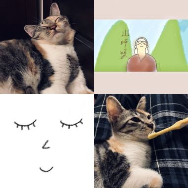 米弦