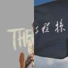 其他歌手的