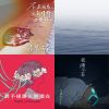 我流