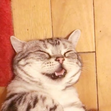 ： ）