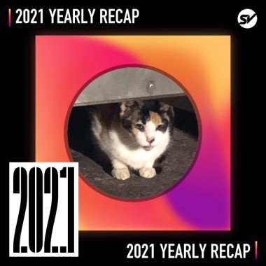 2021 個人年度精選之最