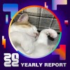 2022 個人年度精選