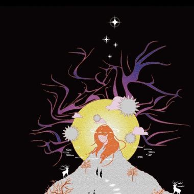 ✨