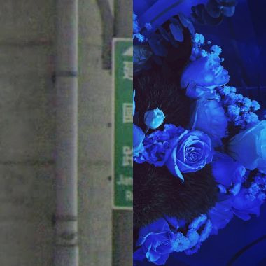 我的歌單 1