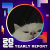 2022 個人年度精選
