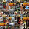 世界民族