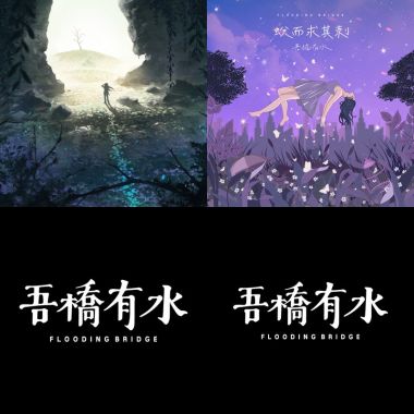 1119 台北場 波斯菊