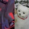 聽歌