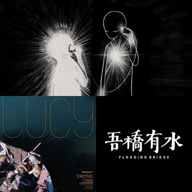 收藏