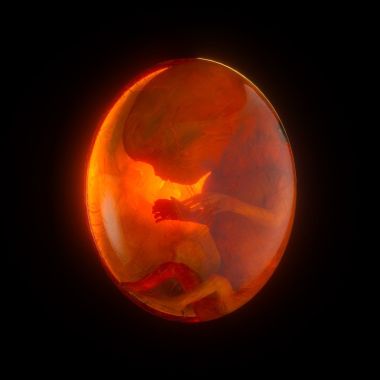 Rock