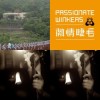 随意