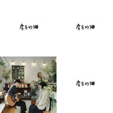房東的貓?