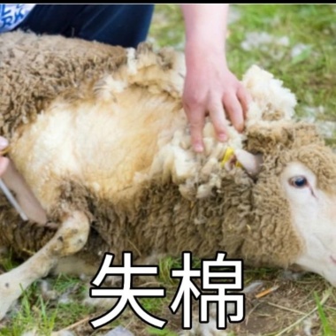 另一個