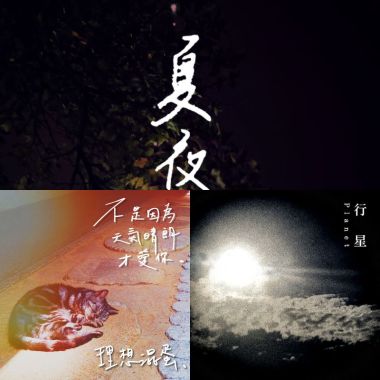 理想混蛋?