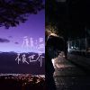 綠繡眼