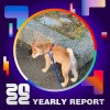 2022 個人年度精選