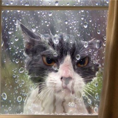 下雨ㄉ時候