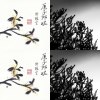 原子邦妮