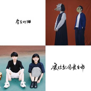 房東的貓睡覺專屬