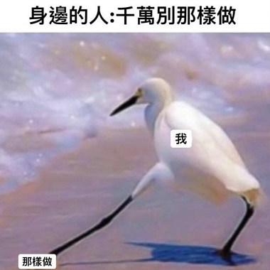 你今天暈船了嗎？