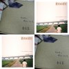 鄭宜農