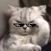00000090uu