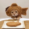 馬克的貓