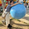 ccy joy