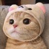 이이