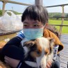 羅賓